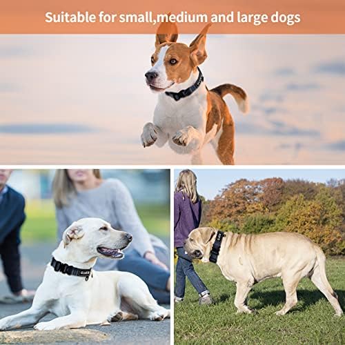 Нашийници за малки кучета със Средни размери, Тежки Регулируема Быстроразъемная Метална Тока за Дресура на Кучета