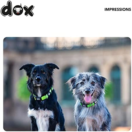 DDOXX Нашийник за кучета с въздушна мрежа, Регулируем, Мек | Много цветове и размери | за малки, Средни и Големи Кучета