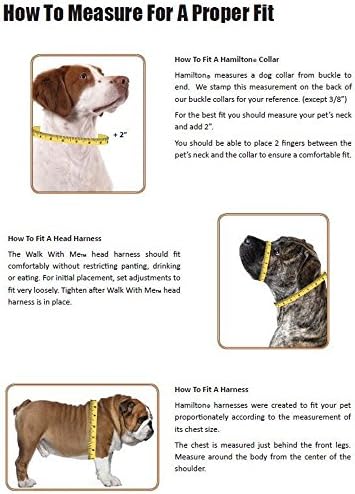 Единични Дебели нашийник за кучета Хамилтън ST 16 NECRBK с довършителни работи, 5/8 x 16, Неоново-Корал