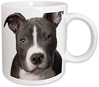 3дрозные кучета Питбул - Кученце на американския Питбультерьера - Чаши (кружка_4240_9)